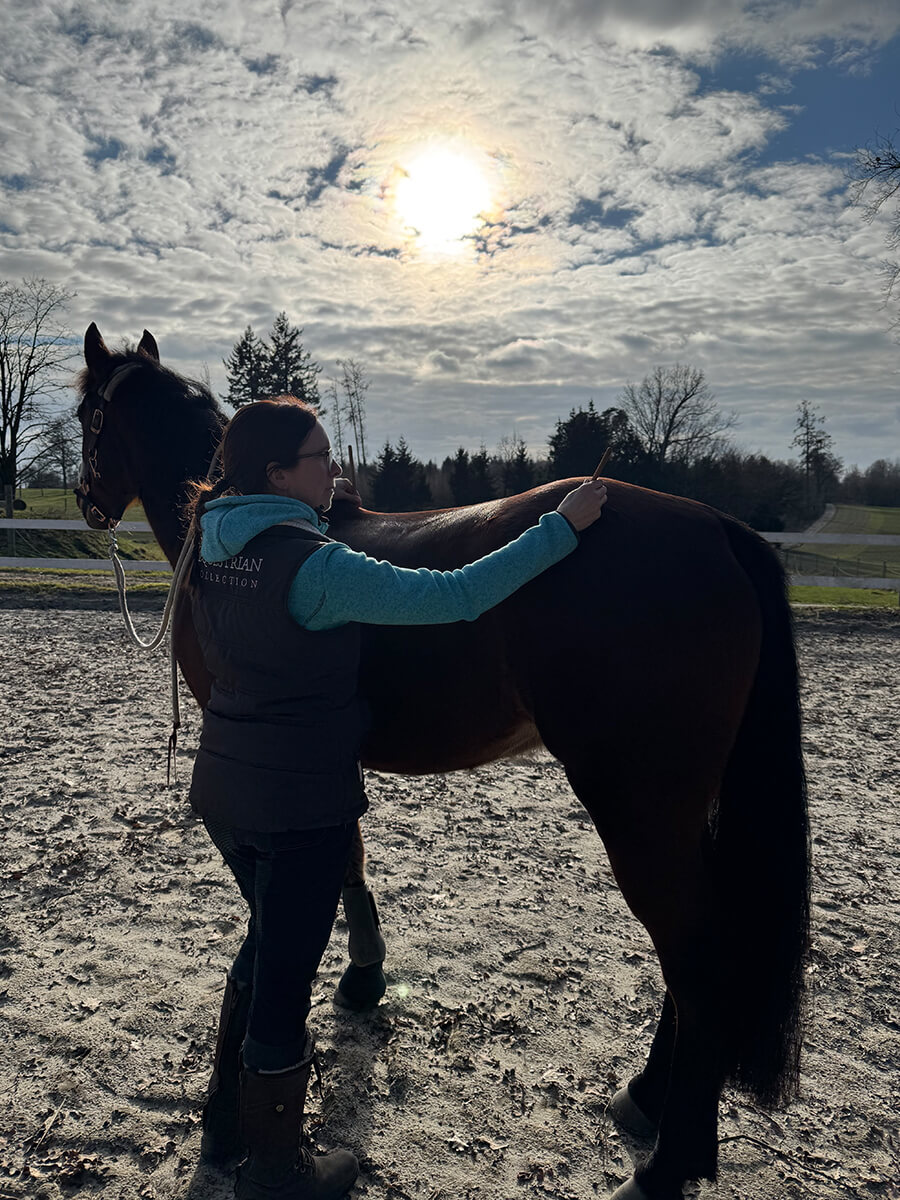 Pferdephysio | Sandra Jakob | Startseite | Über mich